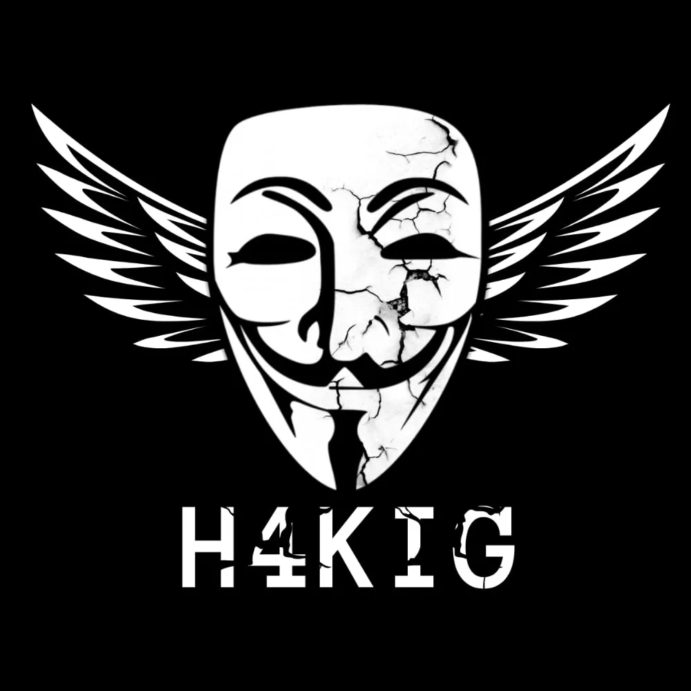 h4kig.com